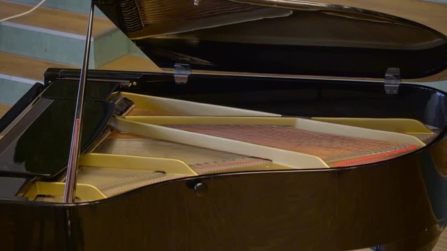 The brown grand piano and the strings shown at the back strumming on the beat