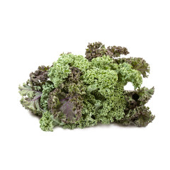 Kale cabbage isolated