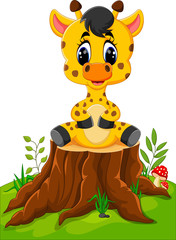Cute baby giraffe sitting on tree stump