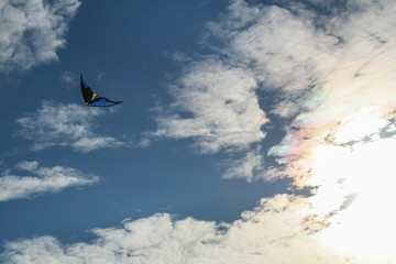Children's play: kite flying high in the blue sky