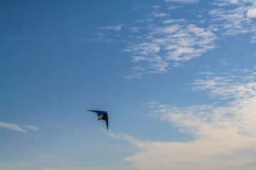 Fototapeta na wymiar Children's play: kite flying high in the blue sky