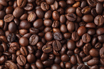 Indian Coffee Beans