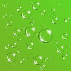 Raindrops on a green background