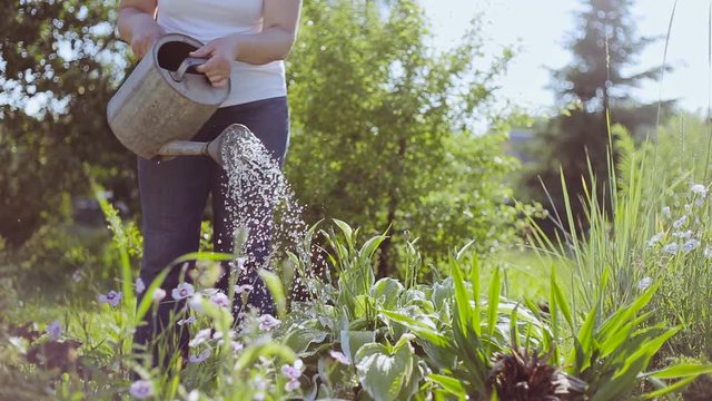 Young woman watering plants with a watering can