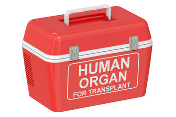 Portable fridge for transporting donor organs, 3D rendering