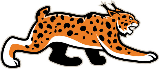 vector isolated lynx Wildcat mascot illustration