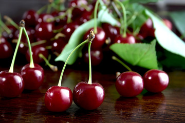 Fresh red cherries