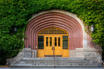 Building covered with ivy and front entry door