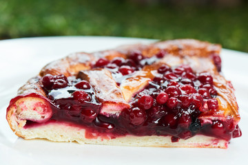 A piece of the pie filling them with cranberries on white plate closeup