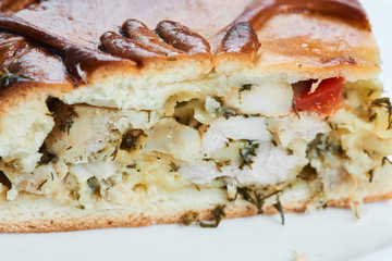 A piece of pie with chicken and potatoes on a white plate closeup