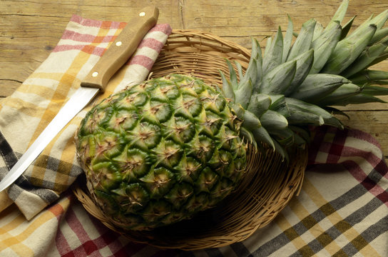 ᏧᏣᏲᏍᏗ ᏒᎦᏔ ანანასი Mnanasi అనానాస్ 凤梨属 Ananas Ananakset Ананас geslacht Ananasso Pineapple comosus Gattung Anana Արքայախնձոր Anan&aacute;sz Ananasovn&iacute;k Ананас род