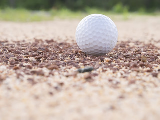 Golf ball on the lawn - Golf Background.