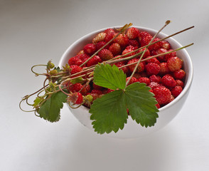 berries of wild strawberry