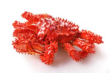 花咲蟹　Japanese Blue king crab