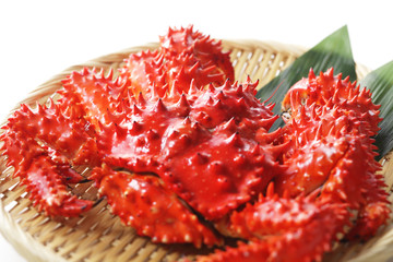 花咲蟹　Japanese Blue king crab