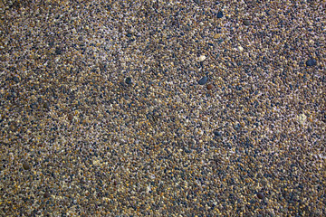Shell and pebble stone for background texture