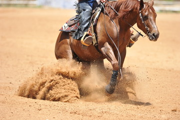 The side view of the rider in leather chaps sliding his horse forward and raising up the 