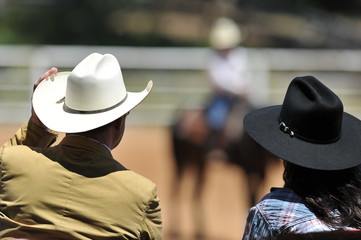 View on the backs of judges with a rider on a background