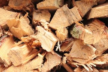 Holz Stapel Wald Wirtschaft Forst 