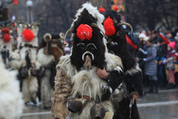 Pernik, Bulgaria - January 14, 2008: Unidentified man in traditional Kukeri costume are seen at the...