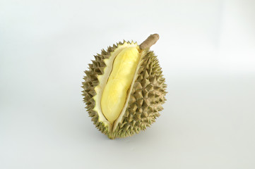 Durian. Tropical Fruit on white background