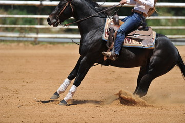 The detail view of the rider's leg in leather chaps and riding boot with spur 