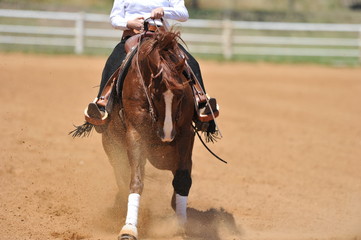 The front view of the rider in leather chaps sliding his horse forward and raising up the clouds of dust