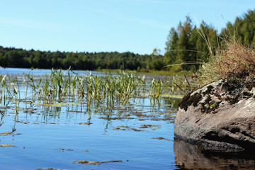 landscape stone on the lake