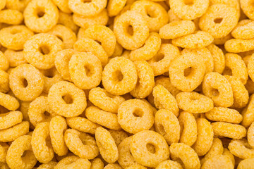 Many small dried rusks  as texture background.