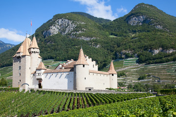 Chateau d'Aigle