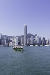 Fototapeta premium 香港びくとり