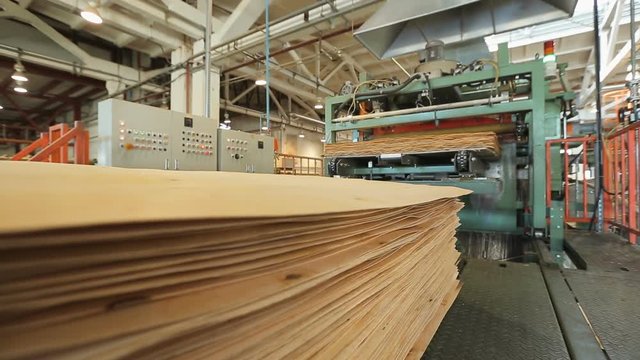 production of plywood