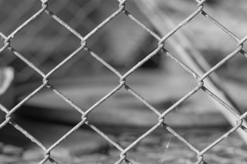 Fototapeta premium Steel Cage black and white background .