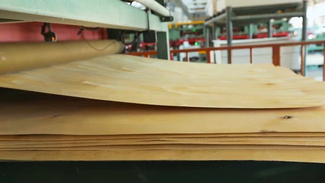 Automatic production line of plywood