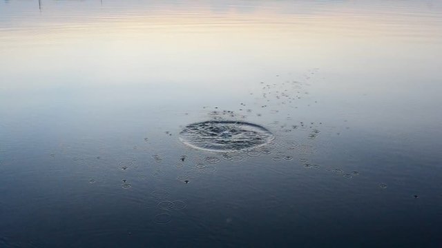 Stone falls into water producing circles on calm blue surface