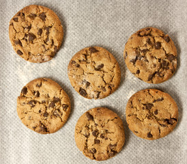 Freshly baked chocolate chips cookies on parchment paper