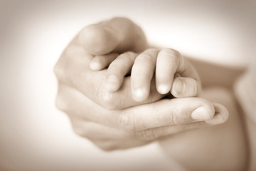 Adult and baby hands, closeup