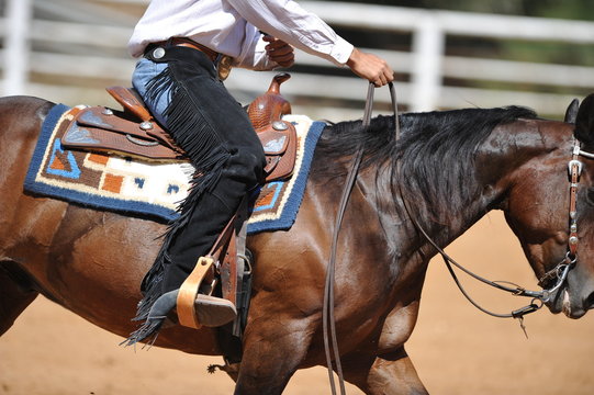 The side view of the rider in leather chaps sliding his horse forward and raising up the clouds of dust