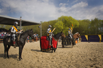 The horse knights in an armour and in a helmet with a sword in a © Demian