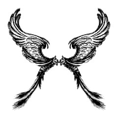 Obraz premium Wings isolated on white background,hand drawing