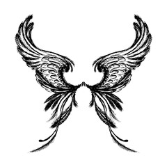 Obraz premium Wings isolated on white background,hand drawing
