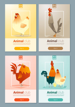 Set of templates with chicken for web design, vector, illustration