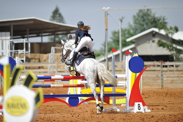 The rear view on the rider overcomes the obstacle on the horse jumping competition