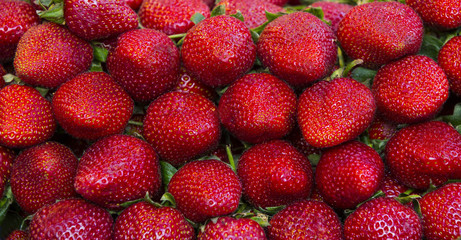 background of ripe juicy red strawberry close-up