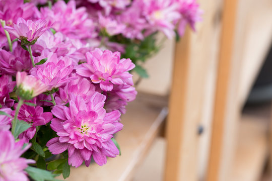 Fototapeta Many newborn rabbit or group of baby bunny sleeping in white cloth