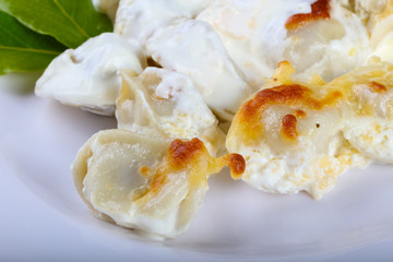 Russian dumplings