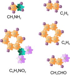 Interesting chemistry. Molecules from flowers - methylamine, nitrobenzene, ethane, benzene, ethanal. Organic chemistry. Vector illustration.