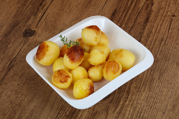 Golden backed potato