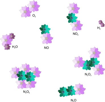 Interesting chemistry. Molecules from hand drawn flowers. Inorganic chemistry. Vector illustration.