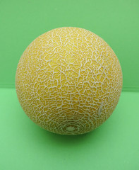 Melon Galia fruit
